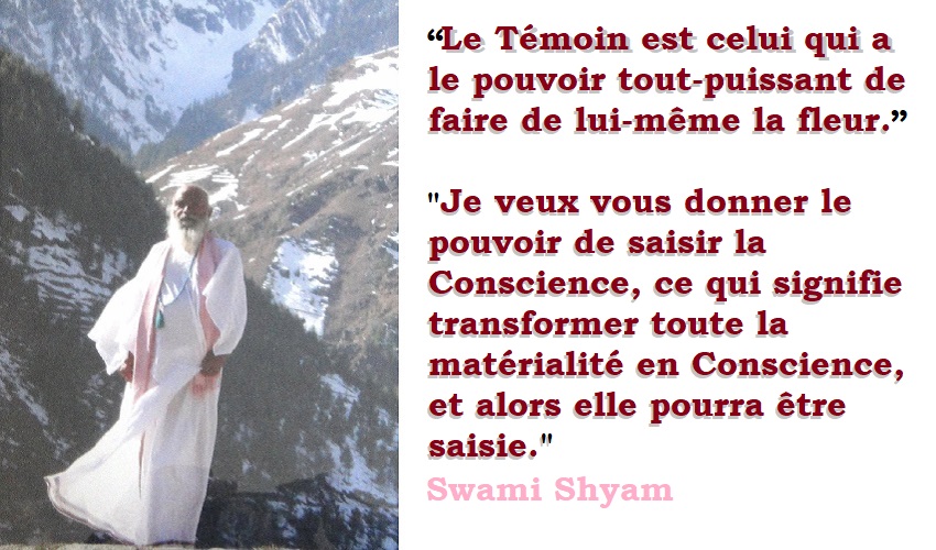 SwamiShyamCoursPatanjali850x500